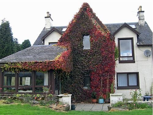 Achnabobane Farmhouse 스핀브리지 외부 사진